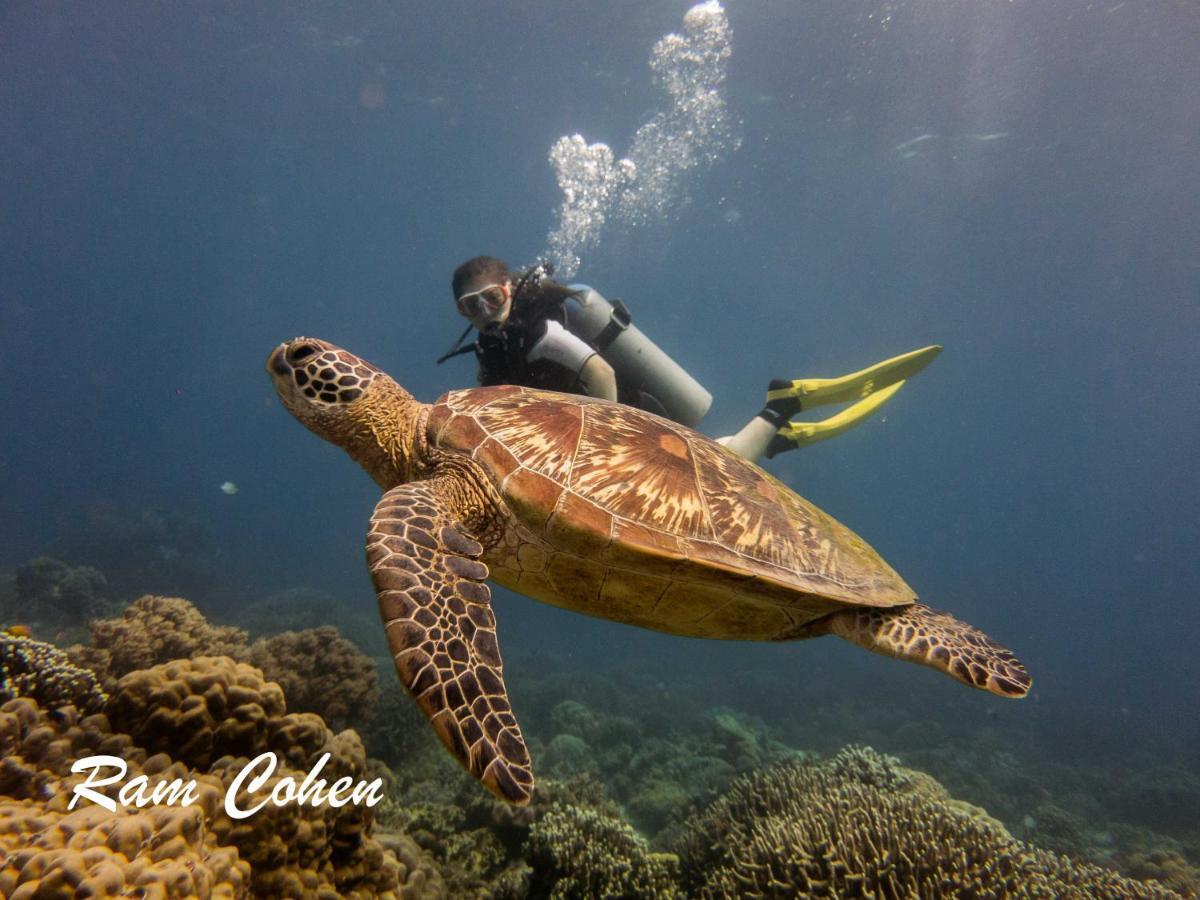 Lavanya Beach And Dive Resort Zamboanguita  Екстер'єр фото
